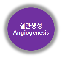 천안씨엠 이미지