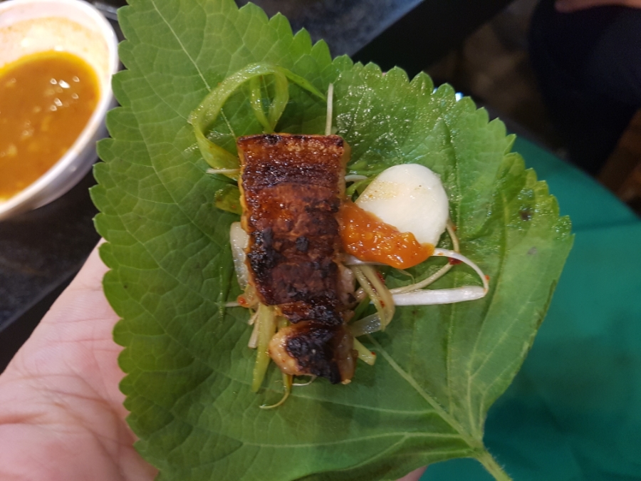 탐라제주도야지 이미지