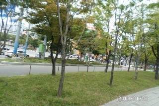몽스키 이미지