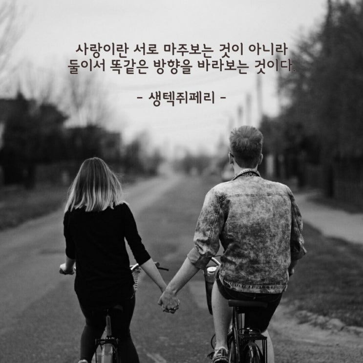 클로이교육 이미지