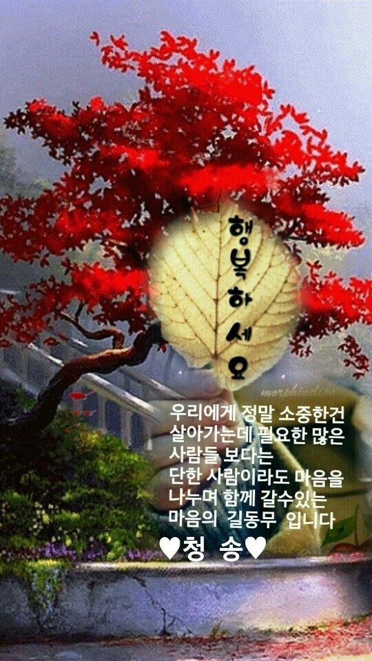 행복나무 이미지
