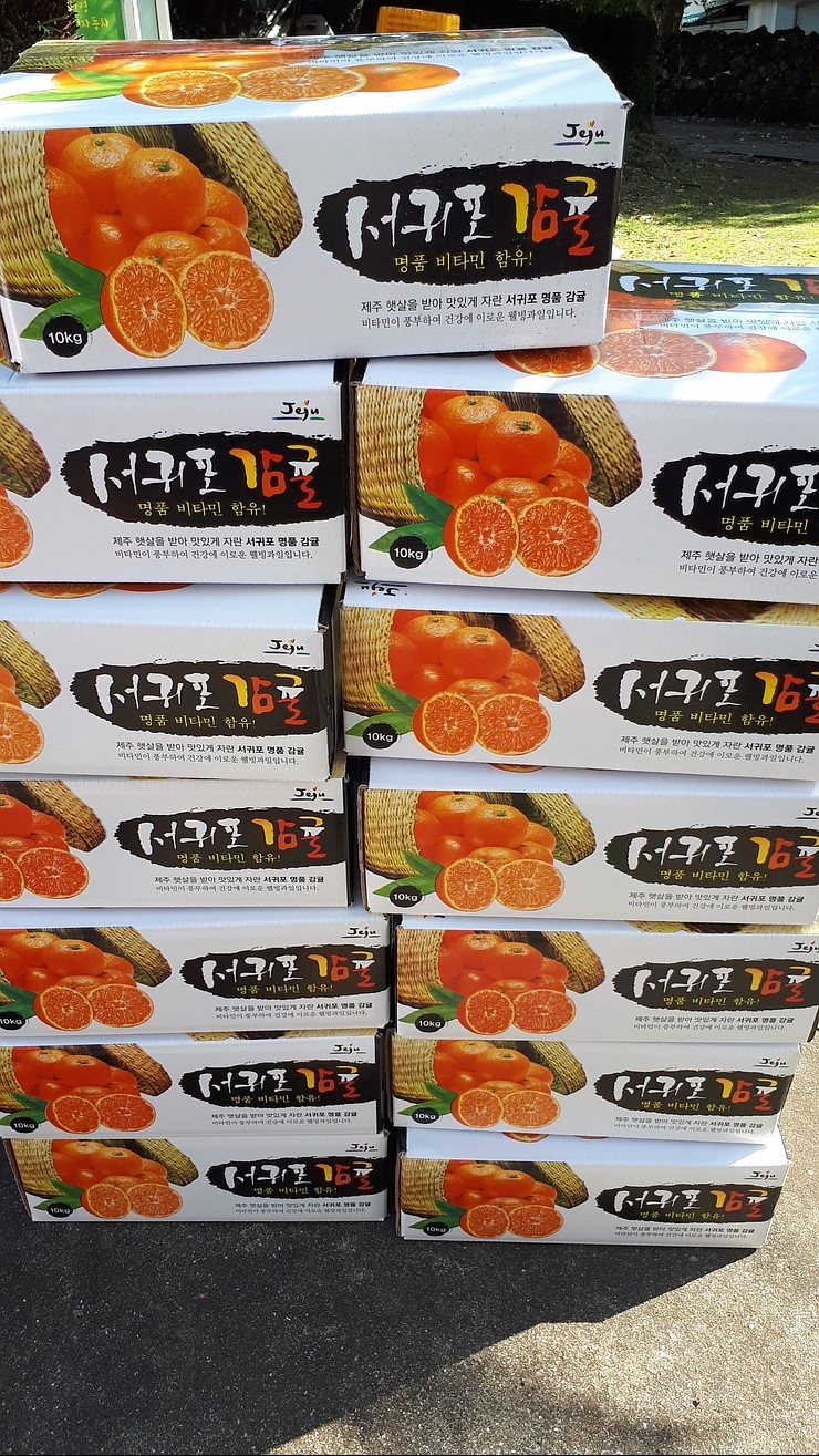 제주농부 이미지