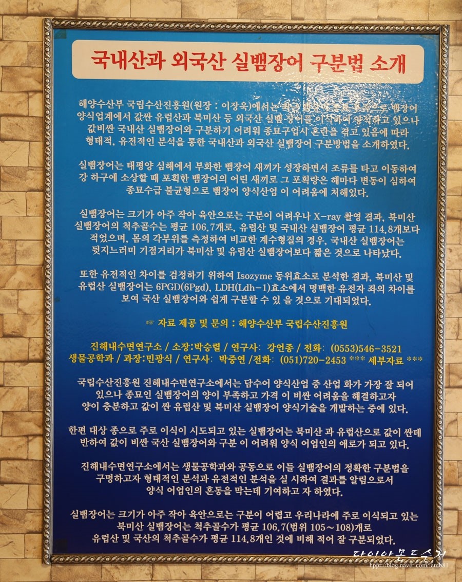 수유리민물장어맛집 이미지