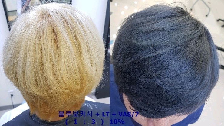 오션컬러 이미지