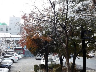 예빛파출넷 이미지
