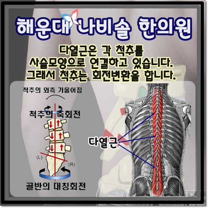 장산한의원 이미지