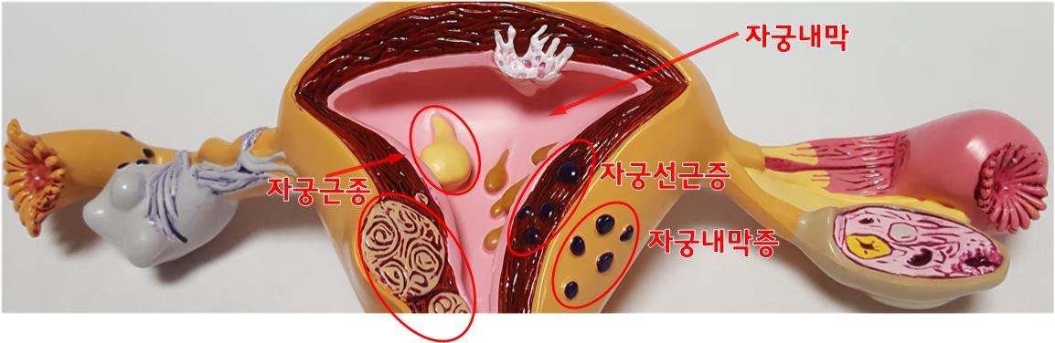 청담한의원 이미지