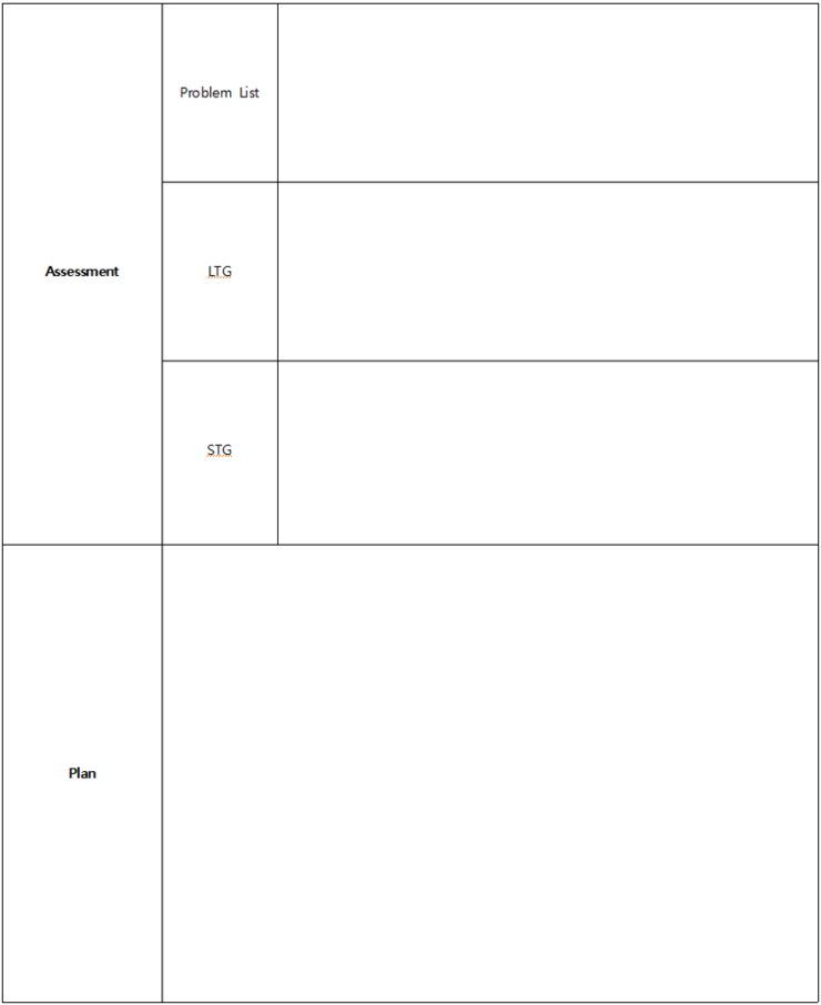 물리치료사를 위한 SOAP 양식 및 작성 예시 네이버 블로그