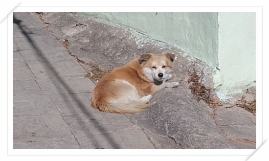 안동네 이미지