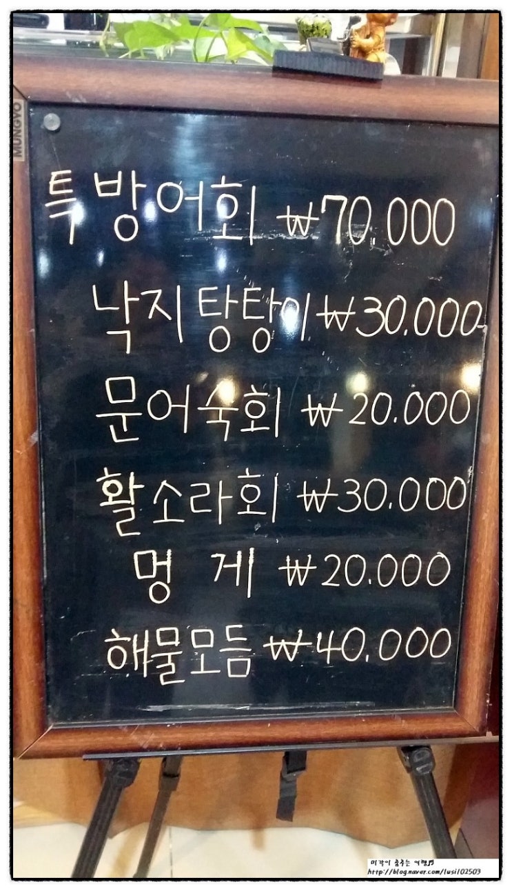 아란어가 이미지