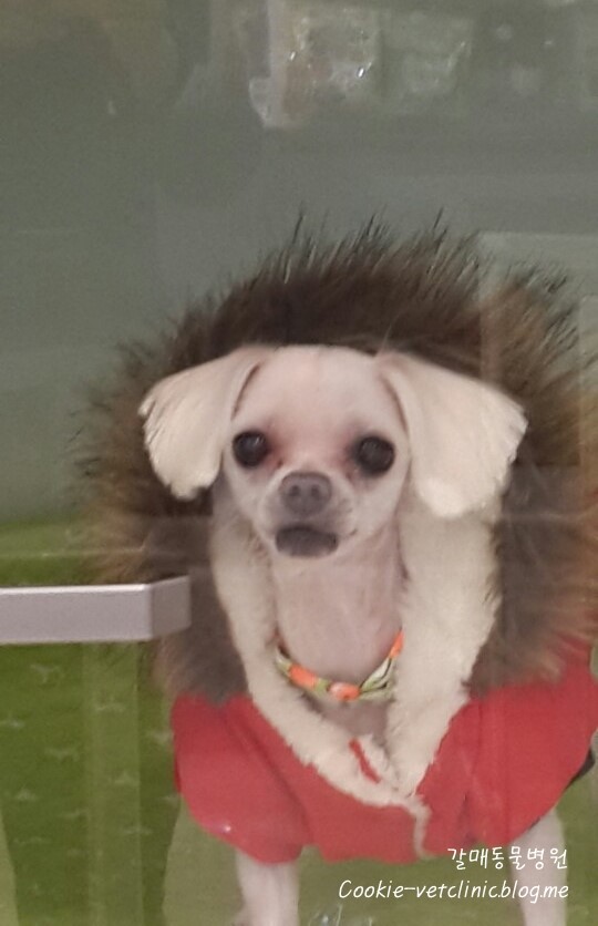 영아미용 이미지