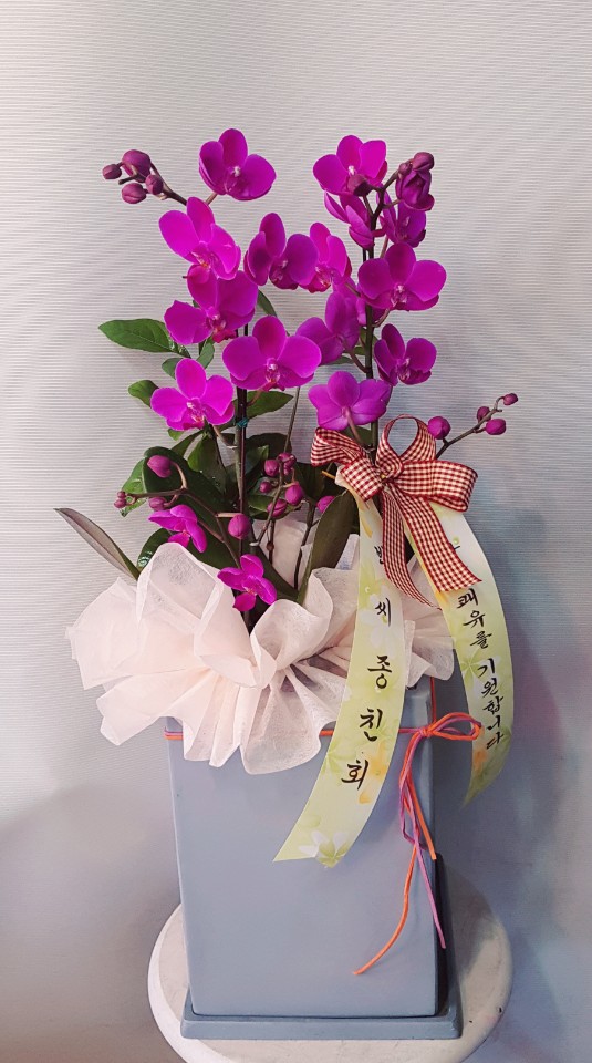 수정꽃화원 이미지