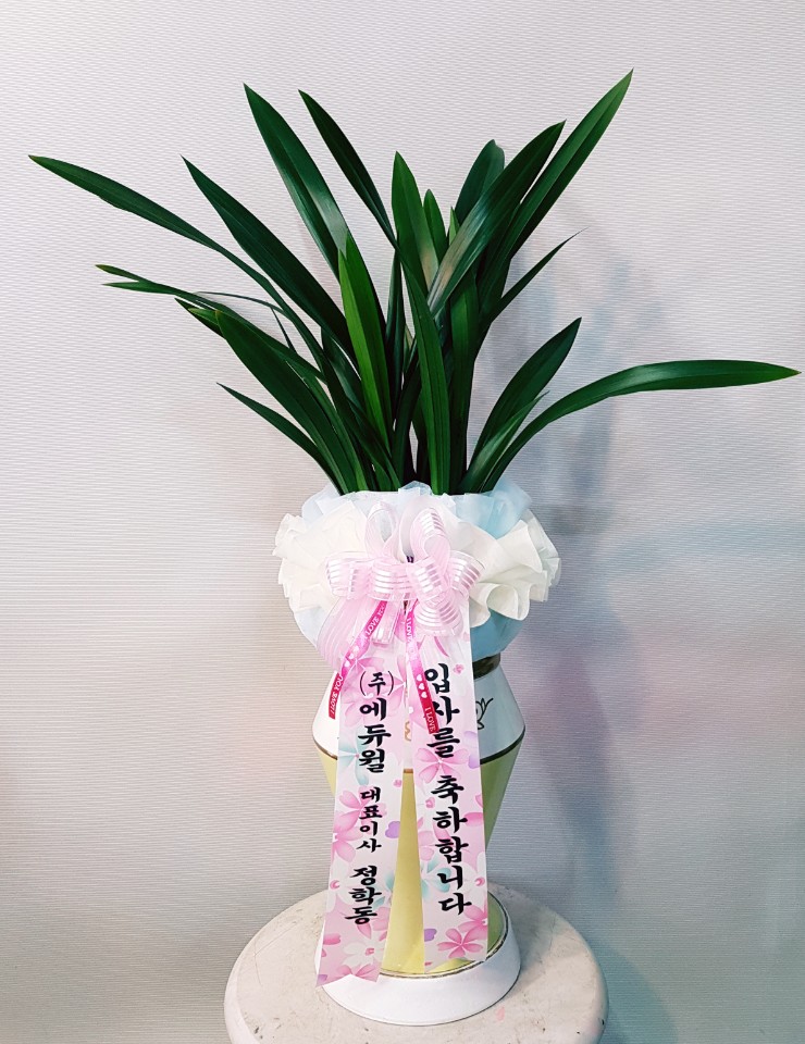수정꽃화원 이미지