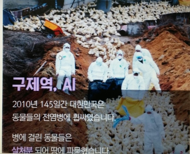 백정축산 이미지