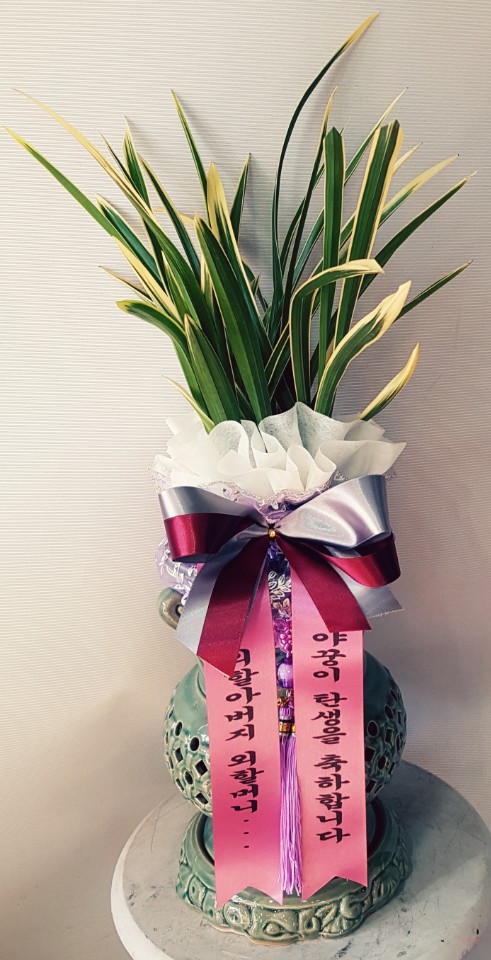 수정꽃화원 이미지