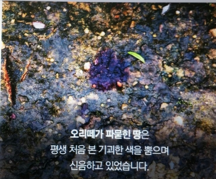 백정축산 이미지