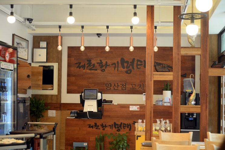 제천황기명태 이미지