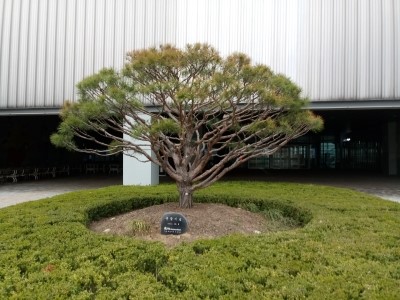 조경관리 이미지