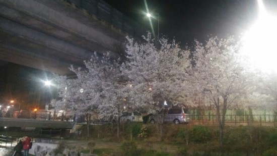 경기도교통연수원 이미지