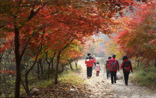 화원고등학교 이미지