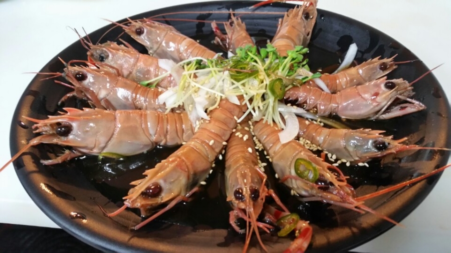 회롱회롱 이미지