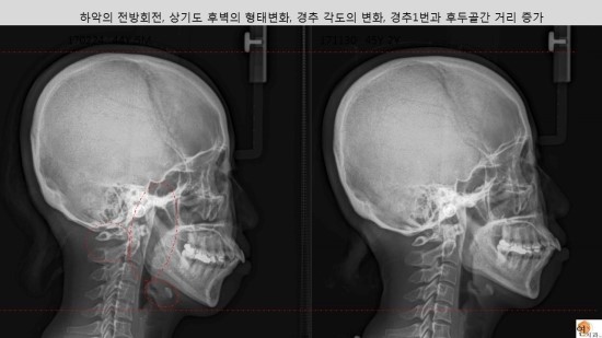 행복치과의원 이미지