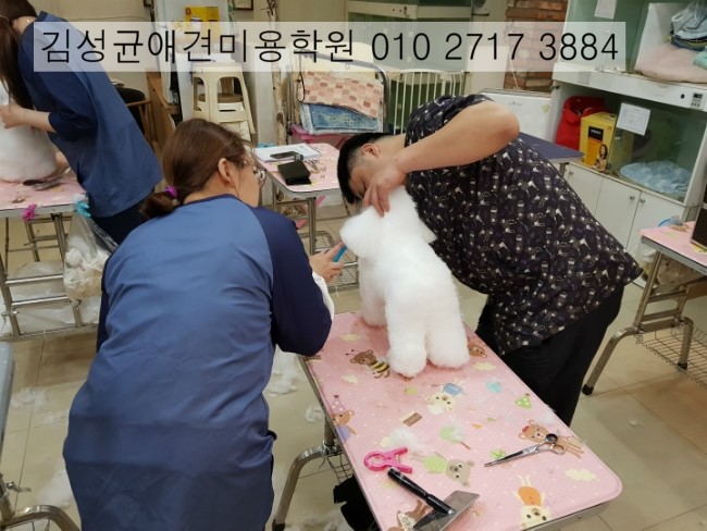 김성균애견미용학원 이미지
