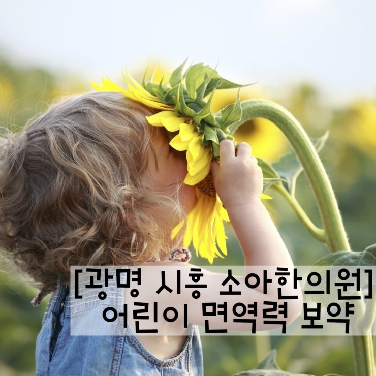 아이누리(금천,광명) 이미지
