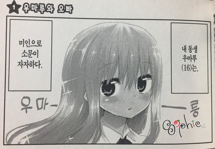 동일건어물 이미지