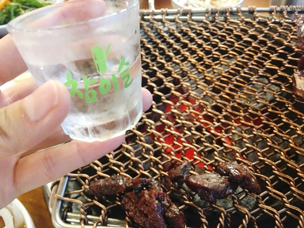 참돈 이미지