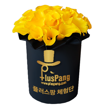 순수담다 이미지