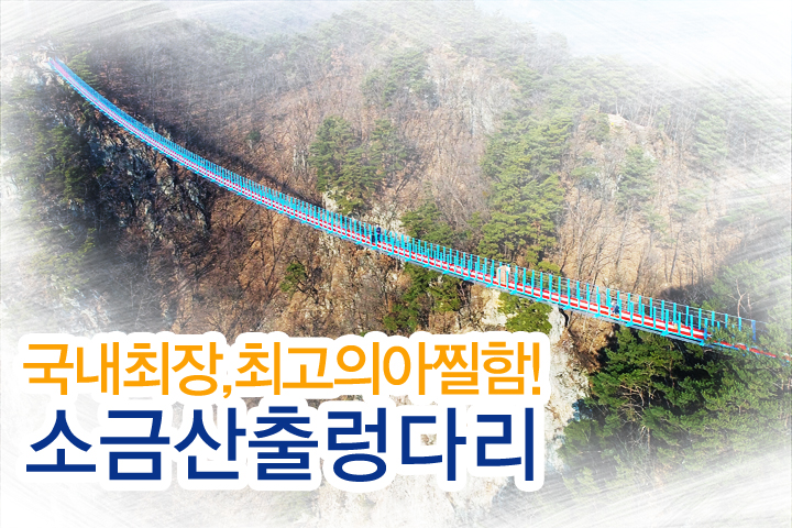 도담여행사 이미지