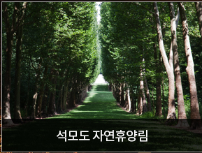 월드도장 이미지