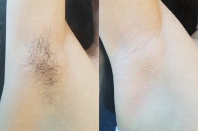 판디스 이미지