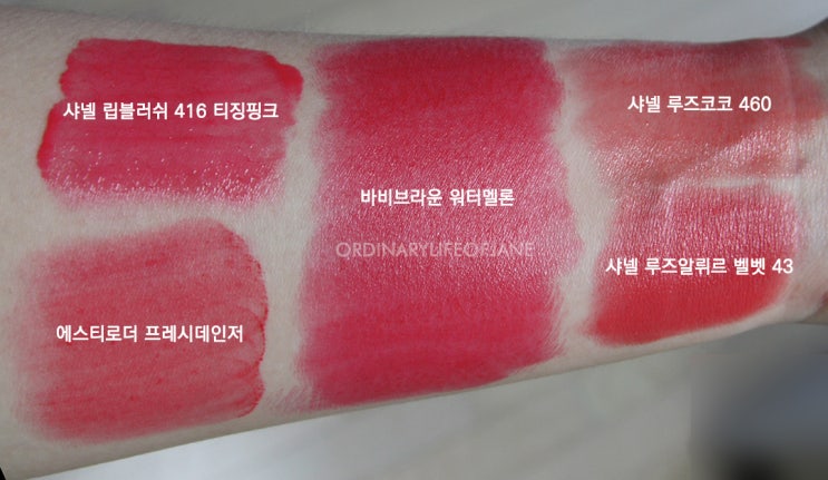 와우에스티 이미지