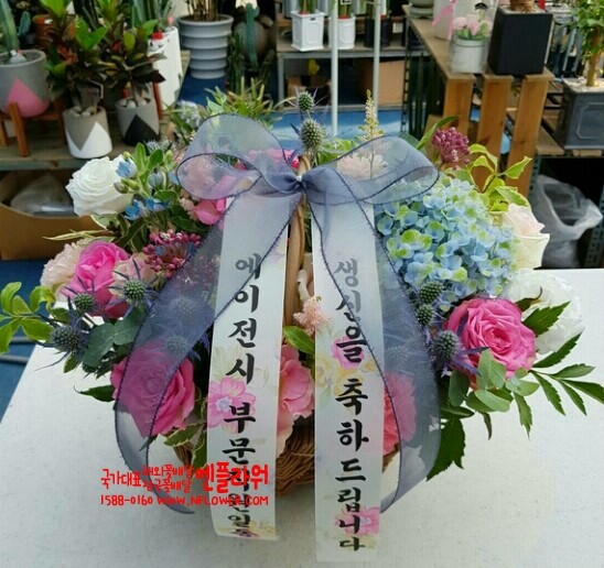 국가대표꽃배달엔플라워 이미지