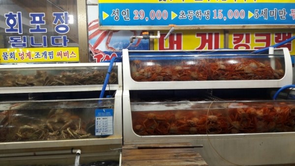 주문진웰빙홍게무한리필 이미지