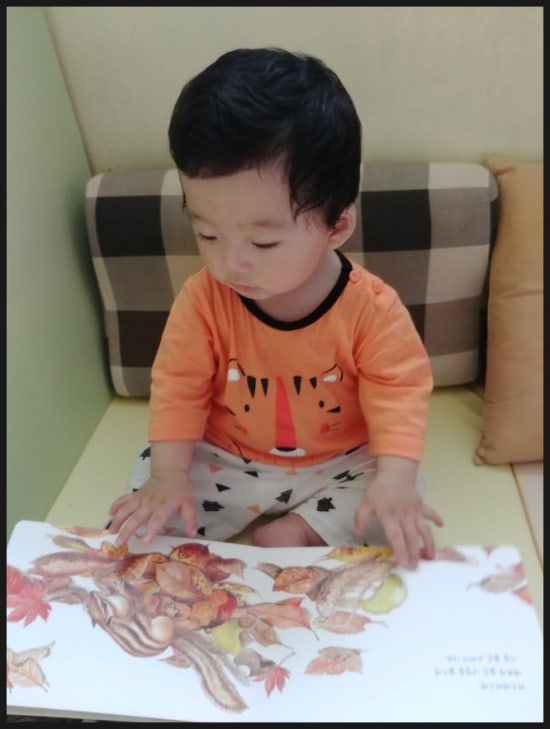 개구리노래클럽 이미지