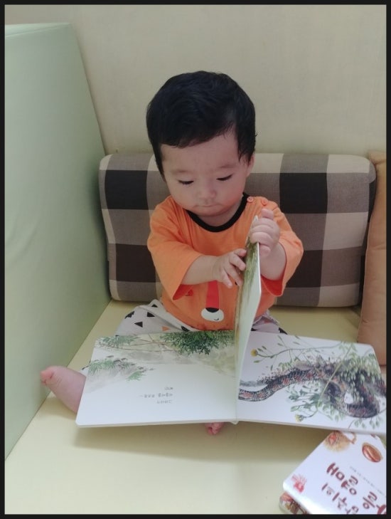 개구리노래클럽 이미지