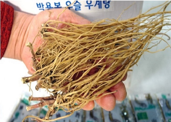 산야초건강원 이미지