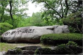 초막산림 이미지
