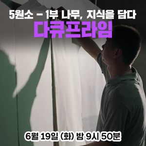 지식나무 이미지