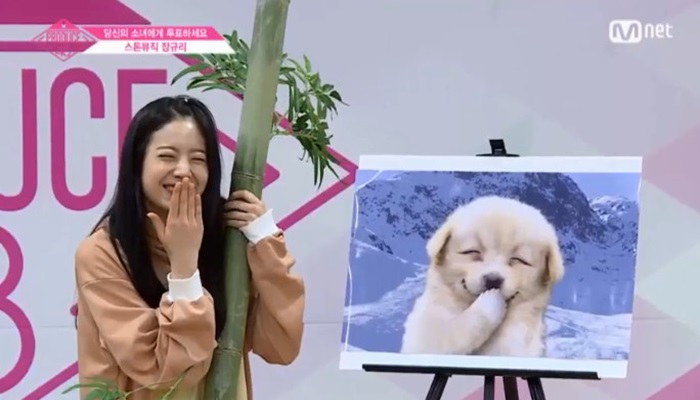 꼬지나인 이미지