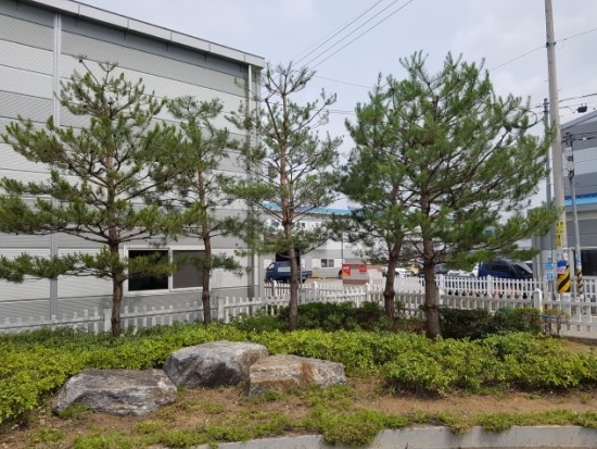 보림조경 이미지