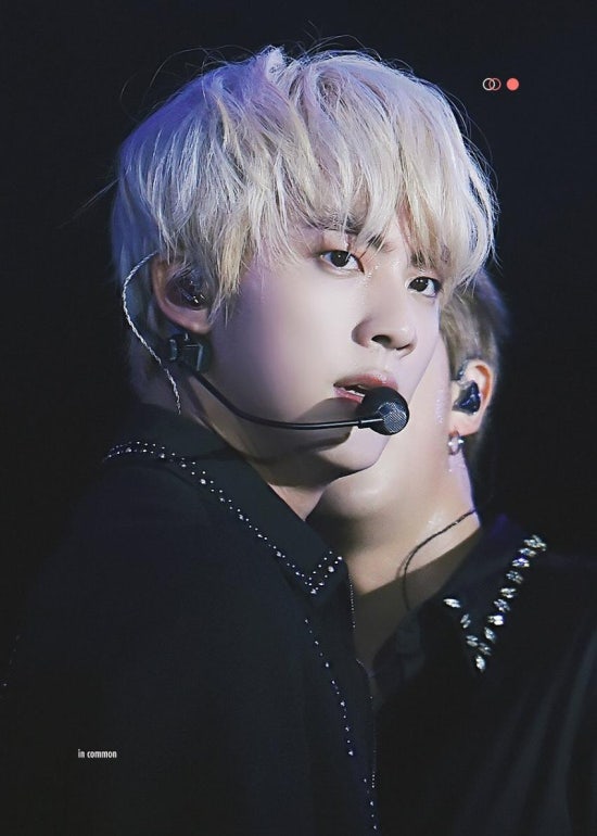 지니스타일 이미지