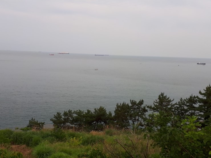 복커피숍 이미지
