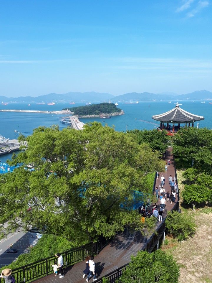 거목투어 이미지