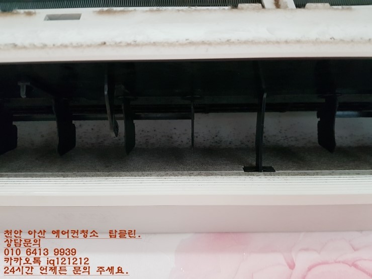 탑클린 이미지