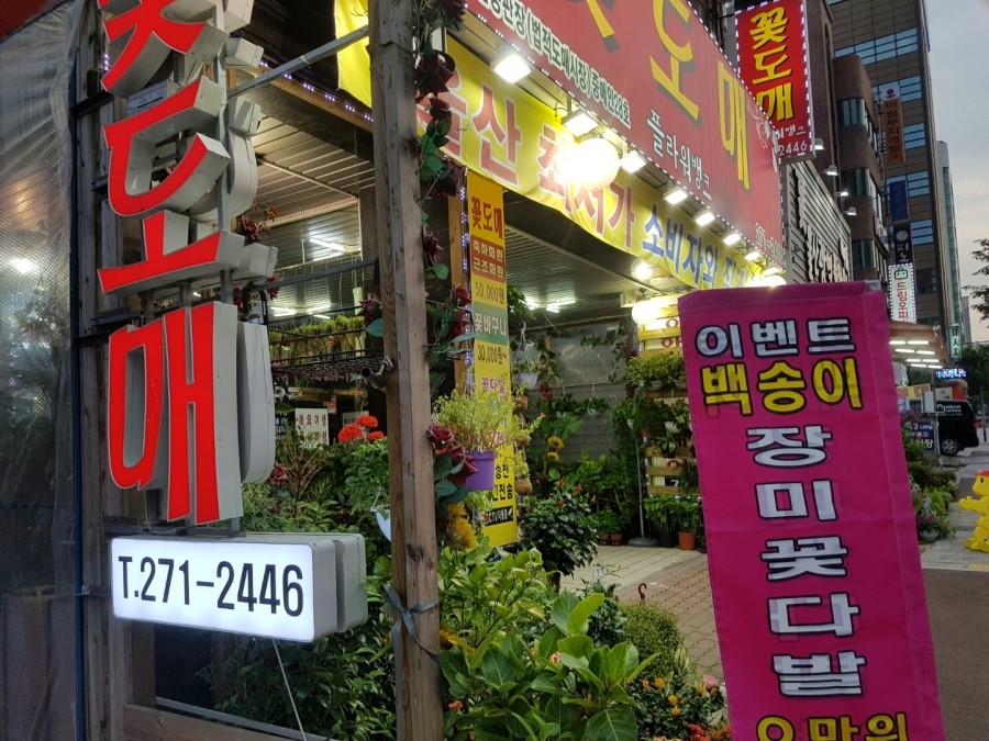 플라워뱅크 이미지