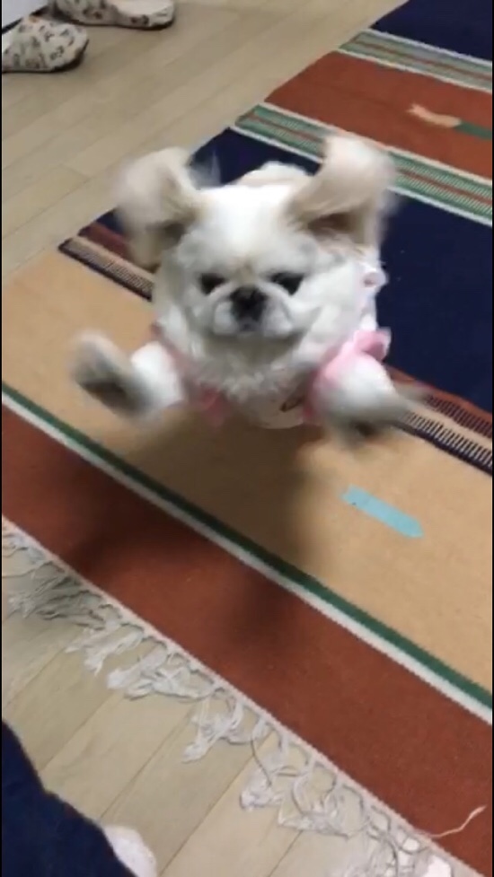 베스트마켓 이미지